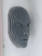 Face