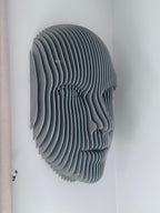 Face